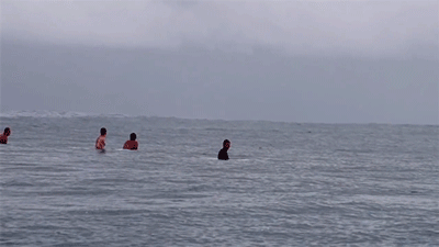 鲸鱼 跳跃 游泳 惊喜 自然 海洋 ocean nature