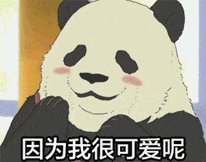 熊猫 因为我很可爱呢 红脸蛋 卖萌