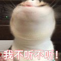 猫 我不听 拒绝