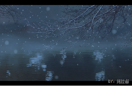 湖泊 雪花 树枝 漂亮