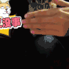 萌宠 猫头鹰 没事 挡脸