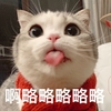 萌宠 猫星人 略略略 吐舌 呆萌 可爱