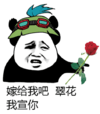 金馆长 玫瑰花 绿帽子 嫁给我吧 翠花我宣你