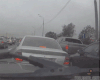汪星人 开车 万万没想到 碉堡了