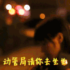 王子文 可爱 搞笑 动物管理局 逗