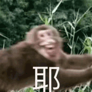 沙雕图 沙雕表情包 沙雕