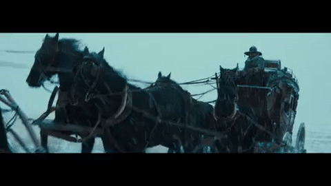 马 奔跑 拉车 雪地