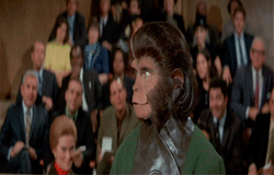 猩球崛起 电影 人猿星球 罗迪麦克道尔黑猩猩 波塔