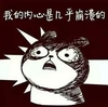 我的内心是几乎崩溃的  猫咪  瞪眼  卡通  目瞪口呆