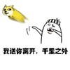 我送你离开 千里之外 狗 丢