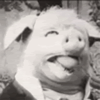 舌头 笑 奇怪的 跳舞的猪