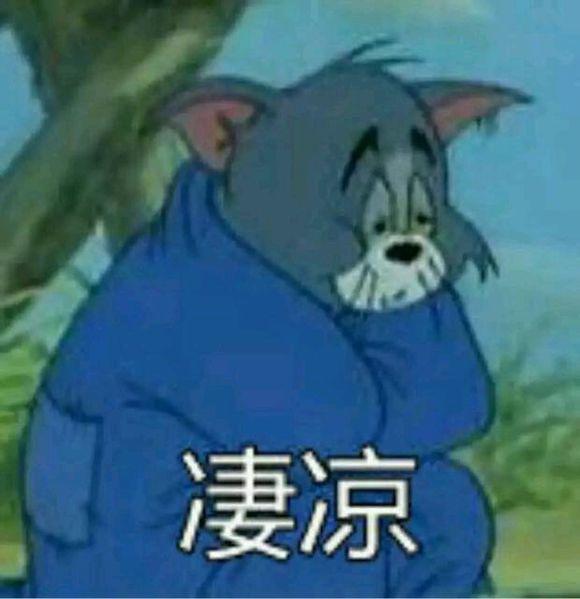 凄凉giftomgif棉被gif可怜gif猫和老鼠gif