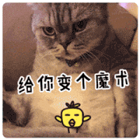 无聊 猫猫 可怕 长得像你