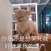 萌宠 猫星人 你是不是想笑死我 继承我的遗产 呆萌 可爱