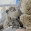 文字表情包 动态图 可爱 蠢萌 搞笑