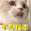 萌宠 猫咪 猫 拒绝 不想理你