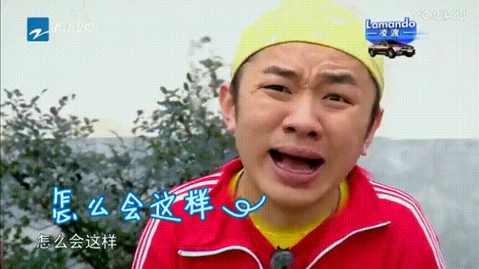 王祖蓝 
