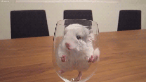老鼠 杯子 小巧 可爱