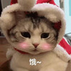 萌宠 汪星人 饿 想吃饭 搞怪 呆萌