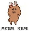 金馆长 兔子 得瑟 来打我啊打我啊