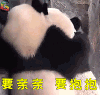 要亲亲 要抱抱 熊猫 国宝 soogif soogif出品