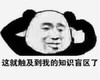 暴漫 文字表情包 这就触及到我的知识盲区了 搞笑 沙雕 魔性