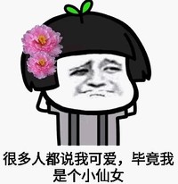 熊猫头 魔性 沙雕 小仙女 搞笑