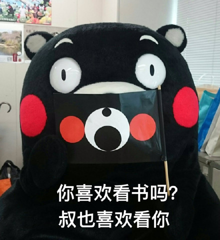 熊本熊 土味情话 看书 喜欢 看你 撩