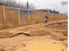 摩托车 翻跟头 马路 树