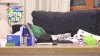 放开我北鼻 小女孩 可爱 躲猫猫
