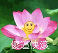 莲花 沙雕莲花 傻逼快滚