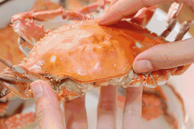 螃蟹 扒开 有食欲 海鲜