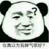 熊猫头 文字表情包 你真以为我脾气很好 搞怪 逗 沙雕