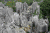 喀斯特 风景 石林 中国