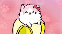 猫咪 眼神 可怜
