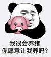 暴漫 文字表情包 我很会养猪 你愿意让我养吗 搞笑 逗 沙雕