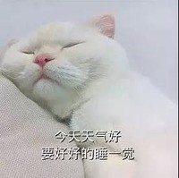 萌宠 猫星人 今天天气好 要好好睡一觉 搞怪 逗