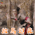 武动乾坤 林动 杨洋 放马过来 搞怪 soogif soogif出品