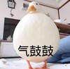 萌宠 大鹅 气鼓鼓 生气 呆萌 搞怪