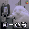 兔子 周一的我 soogif soogif出品