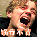 曾经的莱昂纳多 锅我不背 soogif