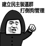 揮拳 公平 打擊 建立民主裝逼群