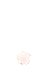 特效 素材