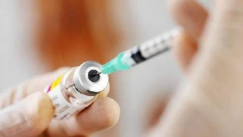 科技 华南虎 DNA