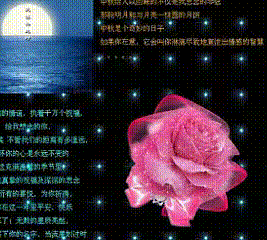 中秋节 花朵 思念情 月圆