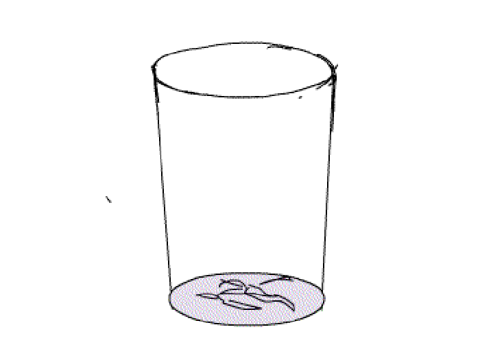 卡通 水杯 旋转 倒水