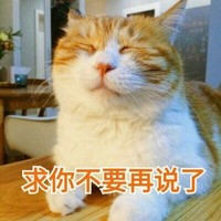 猫咪 可爱 呆萌 斗图 求你不要再说了