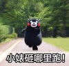 熊本熊 奔跑 树木 小婊砸哪里跑