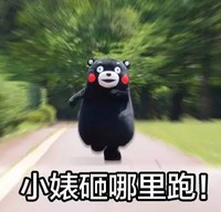 熊本熊 奔跑 树木 小婊砸哪里跑
