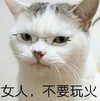女人 不要玩火 猫咪 可爱